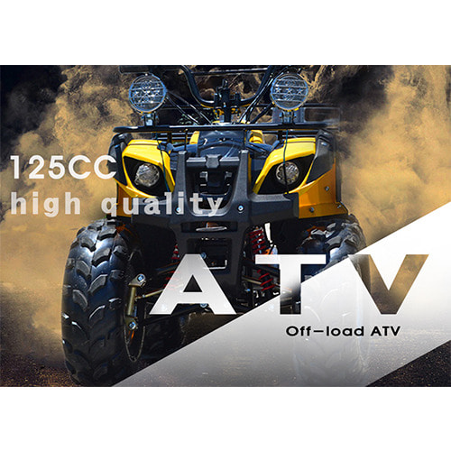 [해외] ATV 125CC (블랙) 옵션1, 2